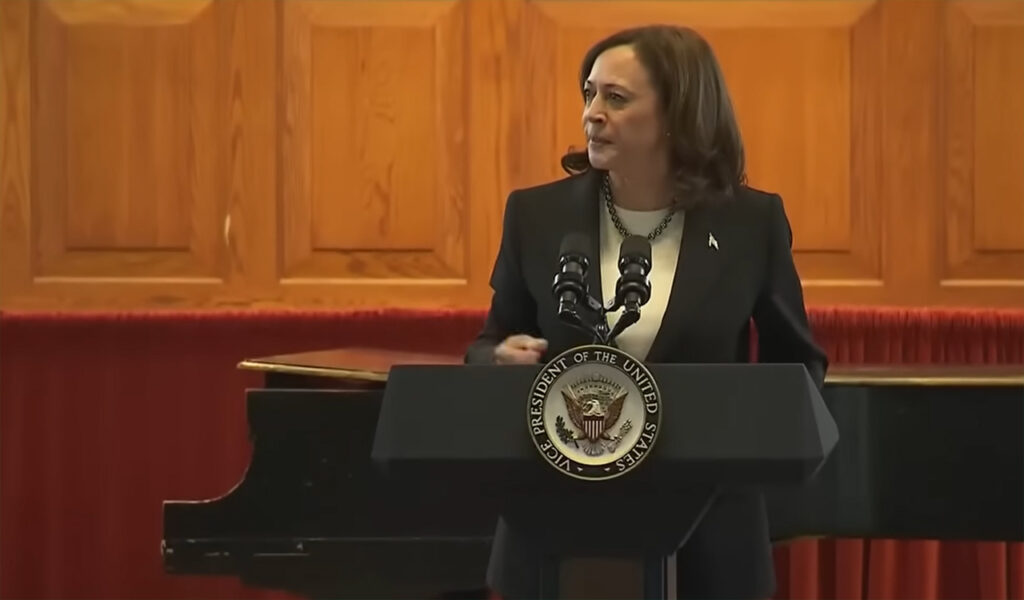 ‘We will not be defeated’: Vice President Kamala Harris stands with expelled representatives in Nashville