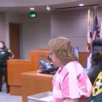 Susan Lorincz entered a not guilty plea during a court appearance on Monday, July 10, 2023. (Source: Screenshot - Fox 35 Orlando/YouTube)